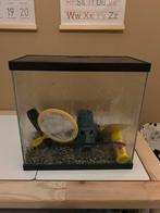 Aquarium met toebehoren, Dieren en Toebehoren, Ophalen, Zo goed als nieuw