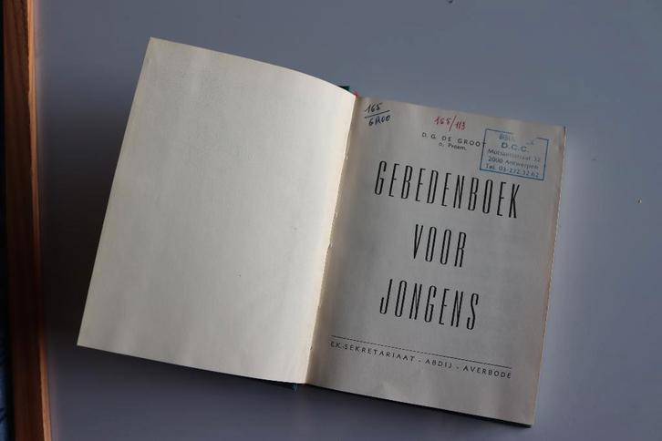 Boek 'Gebedenboek voor jongens', Livres, Religion & Théologie, Christianisme | Catholique, Enlèvement