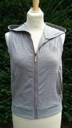 bodywarmer jogging grijs kap 2 zakken vlinder+strass NIEUW, Enlèvement ou Envoi, Neuf, Taille 36 (S), Gris
