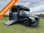 Mercedes-Benz Sprinter 317 AMG 2-paards paardenvrachtwagen B, Animaux & Accessoires, Chevaux & Poneys | Semi-remorques & Remorques