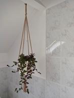 Macrame hangers met pot en hangplanten, Ophalen