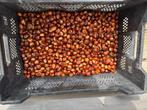 7 kg kastanjes, Diversen, Levensmiddelen, Ophalen