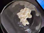 melk kefir bloemen, Ophalen