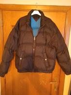 Veste Hiver "Tommy Hilfiger" XL (État neuf), Ophalen, Zo goed als nieuw, Blauw