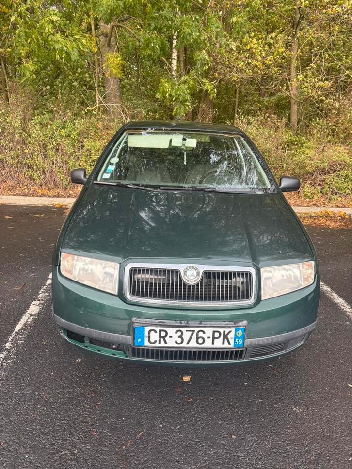 Skoda fabia, Auto's, Skoda, Particulier, Ophalen