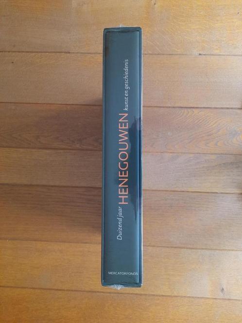 1000 jaar Henegouwen – kunst en geschiedenis, Boeken, Geschiedenis | Stad en Regio, Nieuw, Ophalen of Verzenden