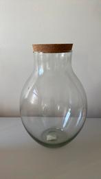 Grand vase pour terrarium - nouveau !, Enlèvement, Comme neuf