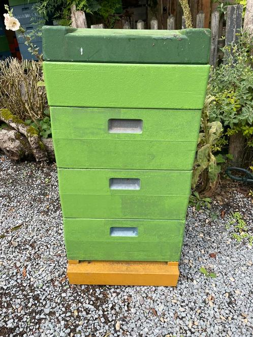 Duits normaal formaat kasten, Dieren en Toebehoren, Insecten en Spinnen, Bijen