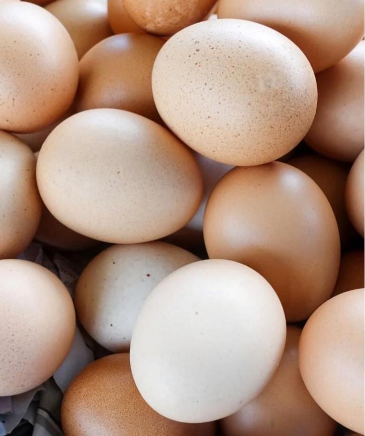 DAGVERSE EIEREN VAN COCHIN KIPPEN, Diversen, Levensmiddelen, Ophalen