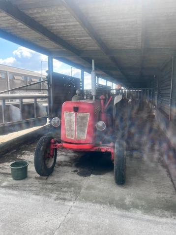 David Brown à vendre, Enlèvement, Oldtimer/Ancêtre, Jusqu'à 80 ch, Autres marques
