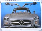 Mercedes GULLWING poster, Boîte manuelle, Argent ou Gris, Cuir, Propulsion arrière