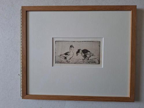 Leuke ets van twee eendjes door Leon Barillot, Antiek en Kunst, Kunst | Etsen en Gravures, Ophalen of Verzenden