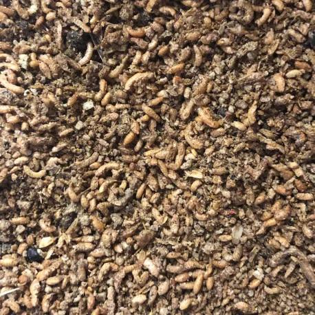 Insectenpatée, Dieren en Toebehoren, Vogels | Toebehoren, Ophalen