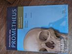 Prometheus, Boeken, Ophalen, Hoger Onderwijs, Nieuw, Bohn,stafleu, van longhum