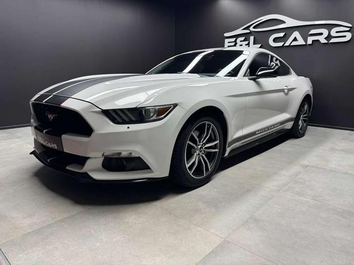 Ford Mustang Mustang 2.3 EcoBoost *12 mois de garantie*, Auto's, Ford, Bedrijf, Te koop, Mustang, ABS, Achteruitrijcamera, Airbags