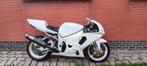 Circuitmotor Gsxr 750, Motoren, Motoren | Suzuki, Particulier