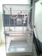 cage a perroquet, Animaux & Accessoires, Comme neuf, Enlèvement, Métal, Cage à oiseaux
