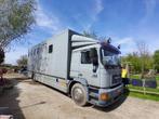 MAN paardenvrachtwagen, Ophalen of Verzenden