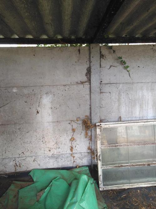 Betonplaten en palen voor tuinhuis enz., Tuin en Terras, Bergingen en Tuinkasten, Gebruikt, Ophalen