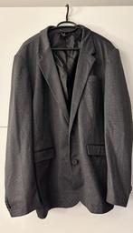 Cono grijze vest, Kleding | Dames, Grote Maten, Trui of Vest, Ophalen of Verzenden, Zo goed als nieuw, Cono