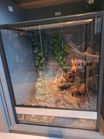 Terrarium 60h x 50b x 50d + decoratie, Dieren en Toebehoren, Ophalen