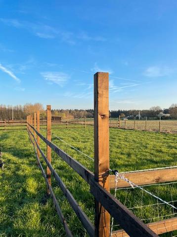 Weide 500m2 te huur beschikbaar voor biedingen