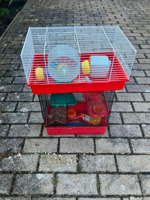 Hamster kooien, met toebehoren, Dieren en Toebehoren, Knaagdieren en Konijnen | Hokken en Kooien, Zo goed als nieuw, Hok, Hamster