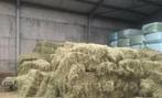 Kleine balen hooi te koop., Dieren en Toebehoren, Ophalen