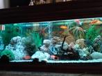 Aquarium te koop, Ophalen, Gebruikt
