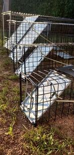 SET VAN 4 VALLEN VOSSEN EKSTER MARTER RATTEN - 110, Ophalen of Verzenden, Nieuw