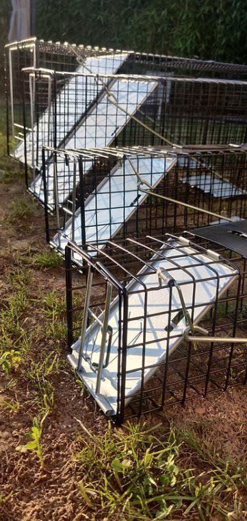 SET VAN 4 VALLEN VOSSEN EKSTER MARTER RATTEN - 110, Tuin en Terras, Bestrijdingsmiddelen, Nieuw, Ophalen of Verzenden