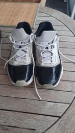 Jordans basketschoenen maat 44, Sport en Fitness, Basketbal, Ophalen, Gebruikt, Schoenen