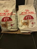 Croquettes chats adultes Royal Canin, Enlèvement, Chat