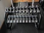 Technogym verchroomde dumbbellset, mooie set !, Sport en Fitness, Fitnessmaterialen, Ophalen