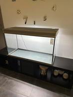 Aquatlantis aquarium, Dieren en Toebehoren, Vissen | Aquaria en Toebehoren, Ophalen, Zo goed als nieuw, Leeg aquarium