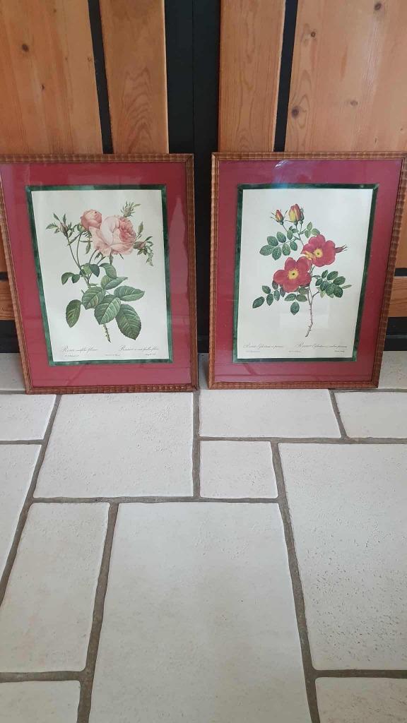 LOT VAN 2 KADERS LITHO ROSIER P.J. REDOUTE  DOOR DE REMOND, Antiek en Kunst, Kunst | Litho's en Zeefdrukken, Ophalen of Verzenden