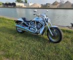 Harley-Davidson V-ROD, Motoren, Motoren | Harley-Davidson, Particulier