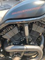 HD nightrod special, Motoren, Motoren | Harley-Davidson, Particulier