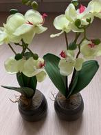 Orchideeën kunststof, Overige soorten, In pot, Ophalen