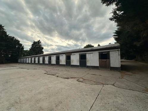 Stallen te huur, Dieren en Toebehoren, Stalling en Weidegang, Stalling, 4 paarden of pony's of meer