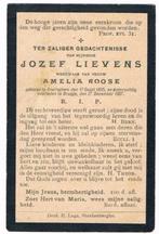 Bp. Lievens Jozef. ° Snelleghem 1835 † Brugge 1907, Collections, Images pieuses & Faire-part, Enlèvement ou Envoi, Image pieuse