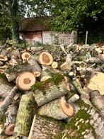 Brandhout te koop, Tuin en Terras, Brandhout, 3 tot 6 m³, Ophalen, Overige houtsoorten, Stammen