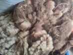 Wol van 4 Manx loathan schapen, Hobby en Vrije tijd, Spinnewielen en Spinnen, Ophalen, Zo goed als nieuw