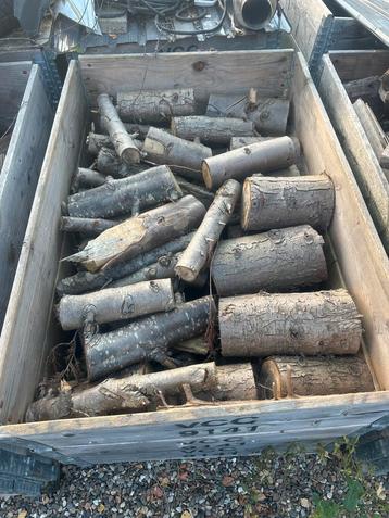 Brandhout 50€ per bak beschikbaar voor biedingen