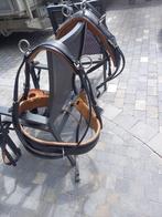 Harnais  neuf full double, Dieren en Toebehoren, Paarden en Pony's | Hoofdstellen en Tuigage, Ophalen of Verzenden, Nieuw, Recreatie