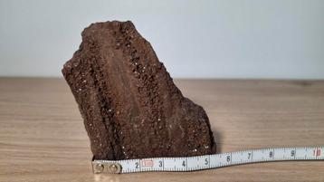 versteend hout mineraal beschikbaar voor biedingen