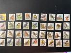 36 timbres Belgique oiseaux en francs, Ophalen of Verzenden