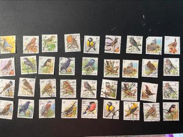 36 timbres Belgique oiseaux en francs beschikbaar voor biedingen