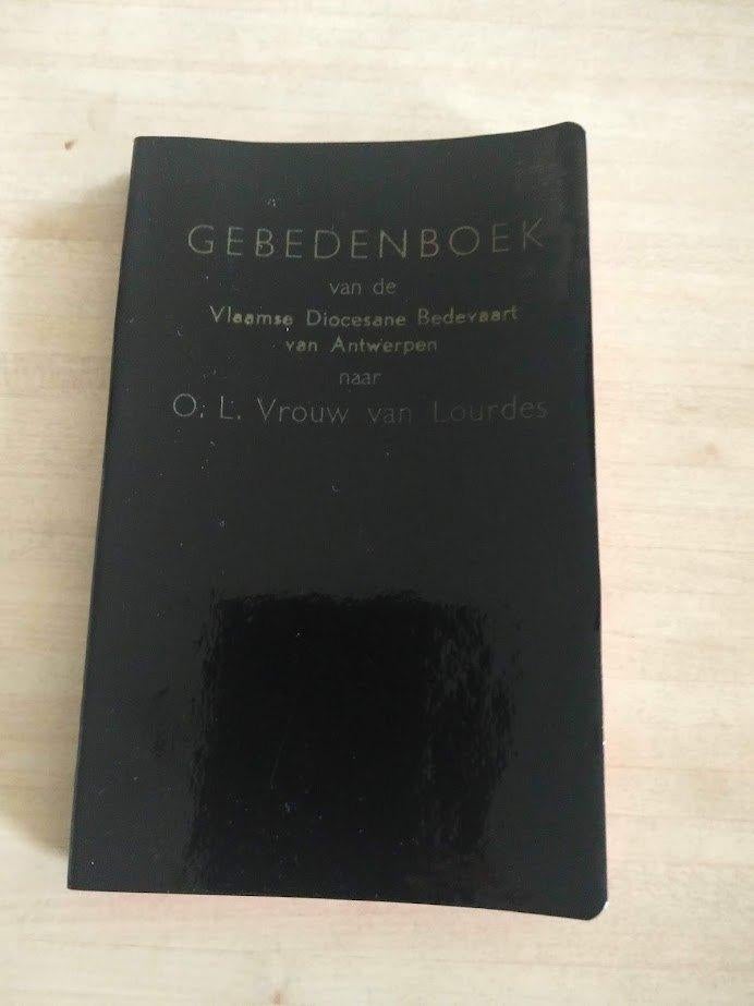 Gebedenboek en Reisgids Lourdes. Samen op weg., Ophalen of Verzenden, Gelezen, Christendom | Katholiek