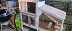 2 cavia's (broers) gratis met hok, Dieren en Toebehoren, Ophalen, Hok, Cavia